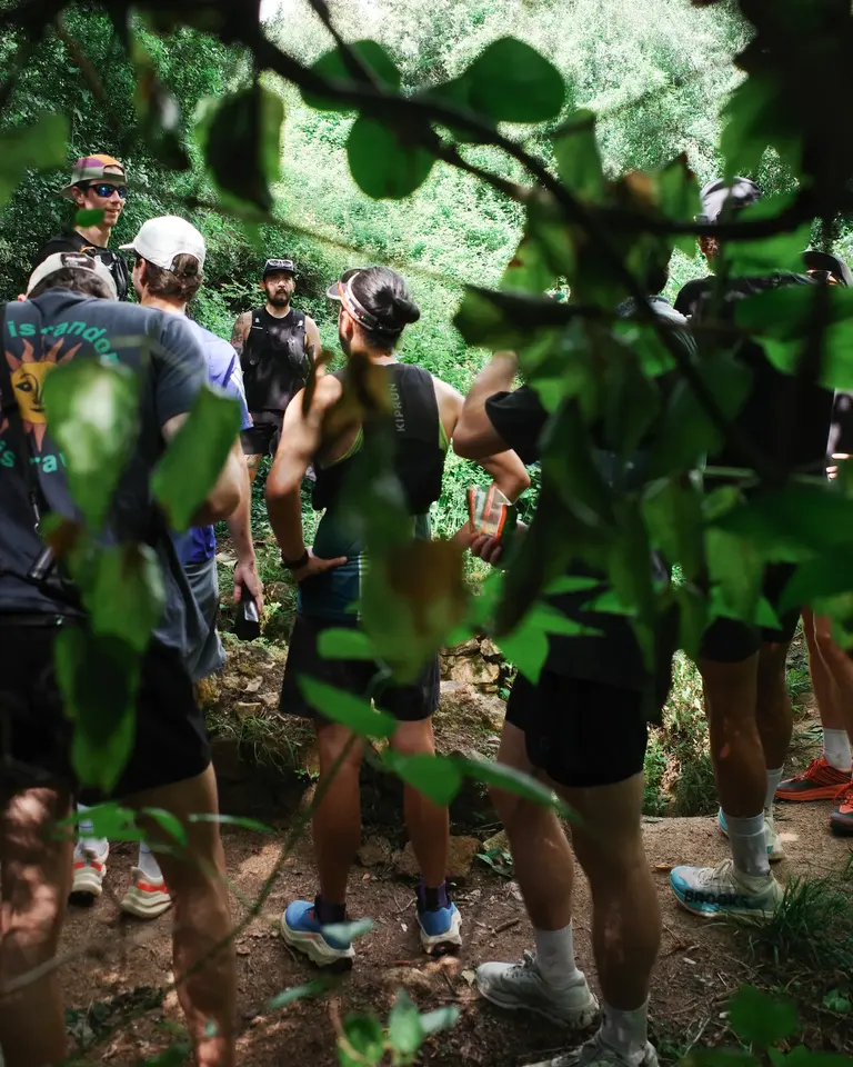 A group of people under trees, photographed from above